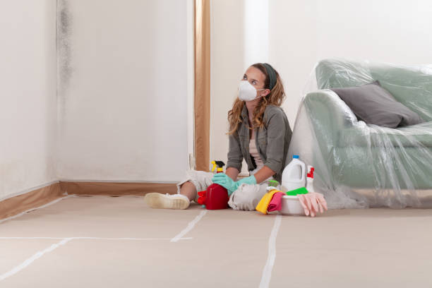 Reliable Mold Testing contractor in Berthoud, CO by WQB Mold Removal