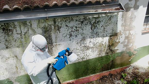 Top rated local Mold Testing specialists in Berthoud, CO